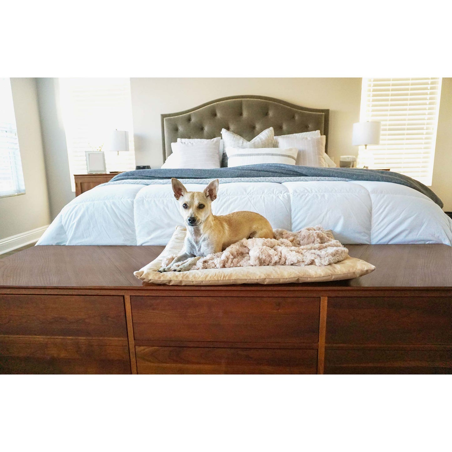 Travel & Crate Mat Beige (Small) 21.5"x 30"